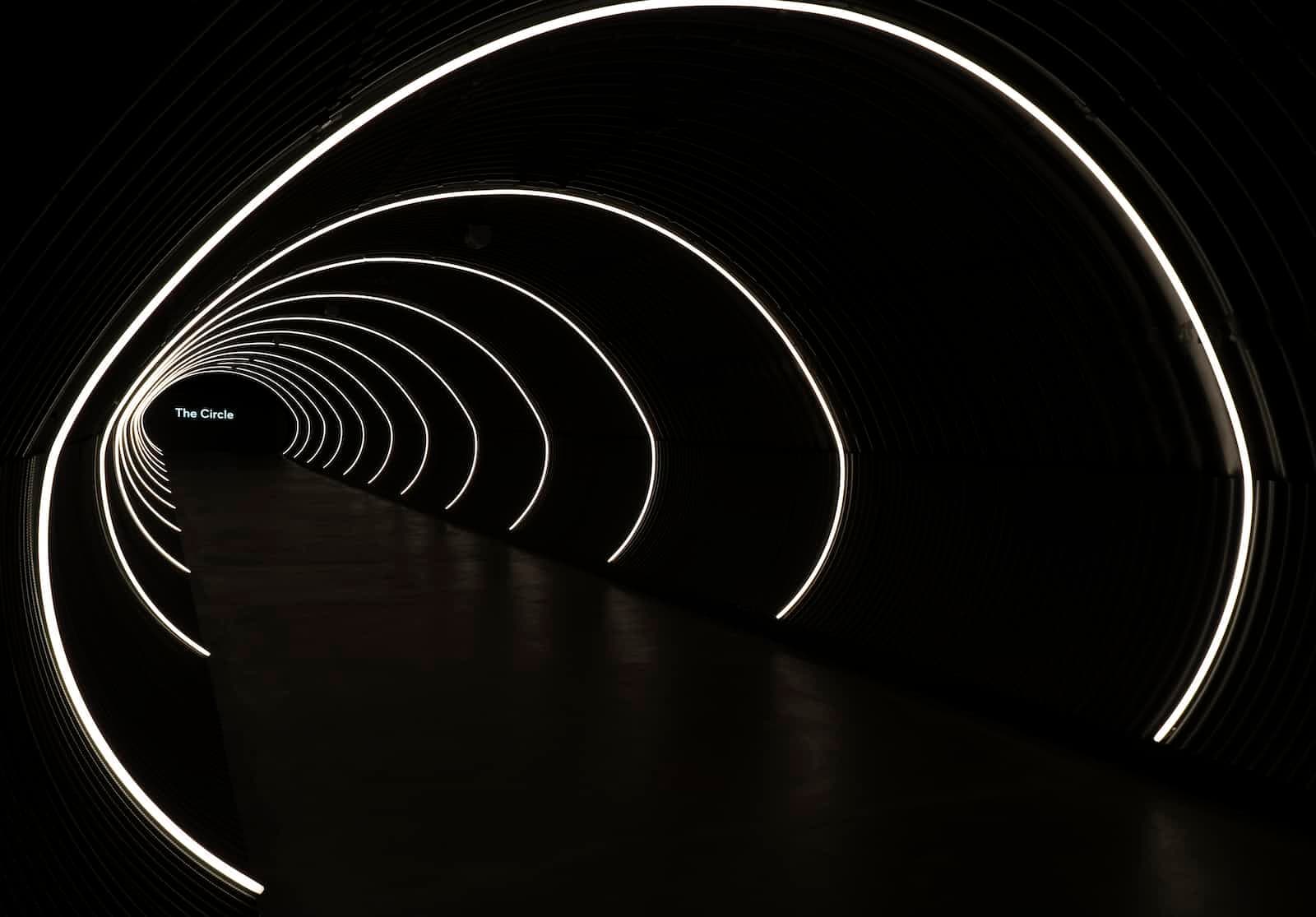 Sharing Local Laravel App Using Ngrok